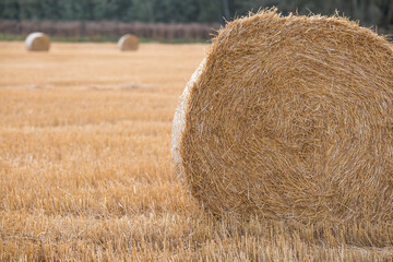 Agricultural work. Hay rolls on the field. Haystacks. Harvesting. The end of summer.