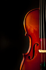 classic violin close up detail 
