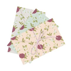 Postal envelopes with a floral pattern in pastel colors set on a white background, digital drawing.