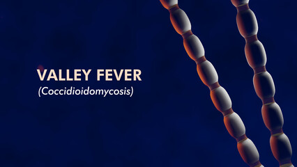 Valley Fever (coccidioidomycosis) caused by coccidioides immitis fungal spores. 3d rendered banner on blue background showing fungal filaments..