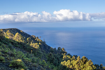 La Palma © neskama