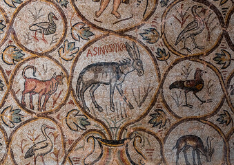 Asinus Nica mosaic from the ancient Roman city, North Africa, Djemila, Algeria