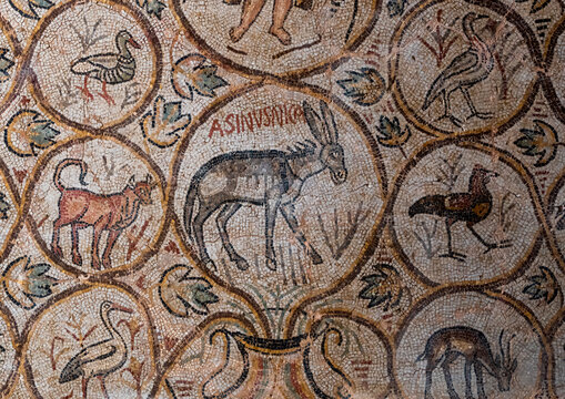 Asinus Nica mosaic from the ancient Roman city, North Africa, Djemila, Algeria