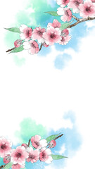 手描きの桜の花の背景　縦型イラスト