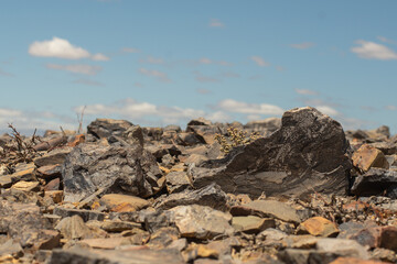 Fototapeta na wymiar Close up of rocks in Tankwa, Karoo, South Africa