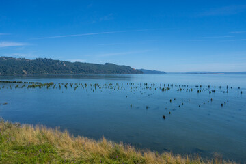 Knappton Gravel Boat Ramp