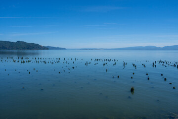 Knappton Gravel Boat Ramp