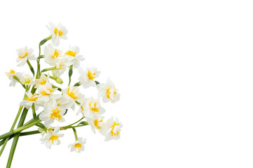 Beautiful white and yellow flower bouquet isolated on white background, clipping path. Full Depth of field. Focus stacking. PNG