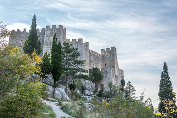 Ruins of a medieval castle with vegetation coming back