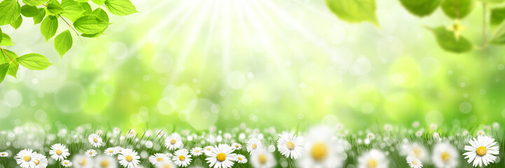 Frühling 646 © K.-U. Häßler