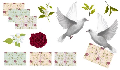 Postal white dove flying with an envelope, with a floral print, in paws and postal envelopes, a red rose, twigs and flowers of oranges set on a white background, digital hand drawing.