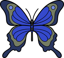 Butterfly illustration. Vector illustration. Live nature.

