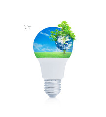 Earth and tree on green grass over blue sky with led light bulb on white background, Ecology saving power and energy concept, Elements of this image furnished by NASA