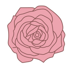 Beautiful pink rose sweet gift valentine day element