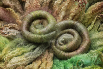 Beautiful rolled up rolags made out of sheep wool laying on hand dyed sheep wool locks 