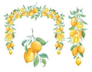 Garland of lemon branches in Provence style. Vintage clipart for menu design, packaging, invitations. Citrus fruits on branches with green leaves and flowers. Decorative composition with exotic fruits