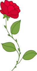 Hand drawn red rose flower. Vector illustration.