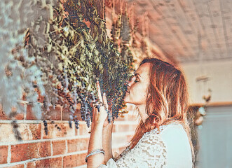 Fresh herbs drying and hanging on the wall. magic. Painting effect.