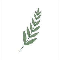 Hand Drawn Floral Decorative Elements