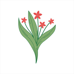 Hand Drawn Floral Decorative Elements