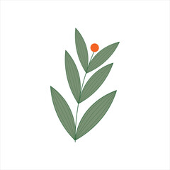 Hand Drawn Floral Decorative Elements