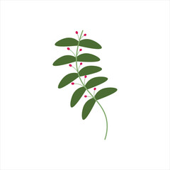 Hand Drawn Floral Decorative Elements