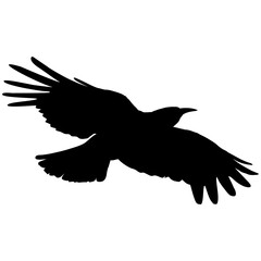 silhouette crow #5
