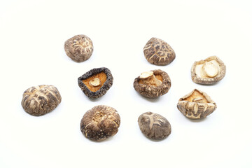 blank notebook with colorful flowers for writing