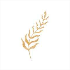 Hand Drawn Boho Elements