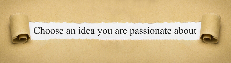 Choose an idea you are passionate about