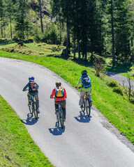 Fototapeta premium Raus in die frühlingshafte Natur im Oberallgäu, Radtour mit der Familie nahe Oberstdorf 