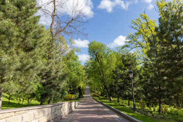 Fototapeta na wymiar Paved walkway among trees on hillside in spring city park