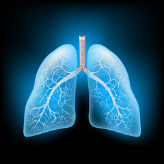 Lungs with glowing effect. Realistic transparent blue Lungs on dark background.