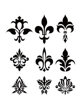 Damask swirl victorian florist vintage icon symbol element vector pattern flower set bundle editable