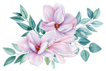 Flowers set with magnolia flowers and eucalyptus leaves. Floral Isolated elements. Watercolor Botanical illustration © Hanna