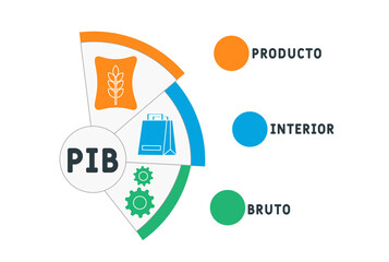 PIB - Producto Interior Bruto acronym. business concept background.  vector illustration concept with keywords and icons. lettering illustration with icons for web banner, flyer, landing