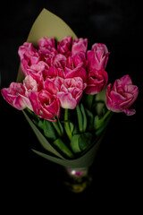 pink roses in a vase