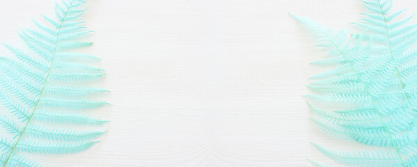 Top view image of pastel blue dry fiddlehead ferns over white wooden background .Flat lay