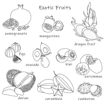 Exotic fruits set. Vector illustration. Flat icon collection isolated on white.