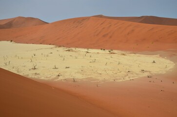 Fototapeta na wymiar Bizarre landscape at Sossusvlei NP, Namibia