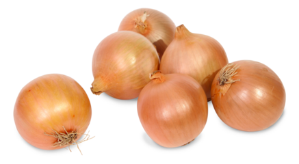 Oignons ronds jaunes