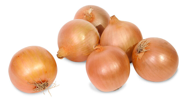 Oignons ronds jaunes