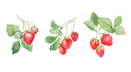 Fotobehang Strawberry, red berries, strawberries with leaves,sweet food,  watercolor illustration  © EleniAnna