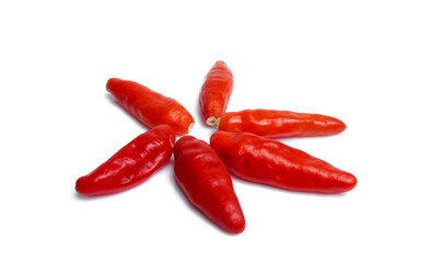 Chili pepper isolated on a white background.