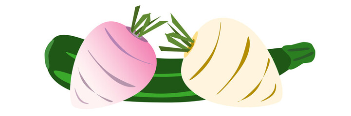 illustrazione di ortaggi con zucchina e rape su sfondo trasparente