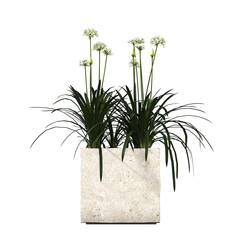 decorative flowers and plants for the interior,  isolated on white background, 3D illustration, cg render