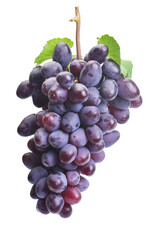 Bunch of grapes isolated