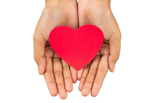 two hands holding heart shape