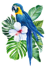 Parrot macaw with flowers and palm leaves, exotic birds on isolated white background. Watercolor hand drawn illustration