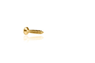 macro screw of golden color on a white background